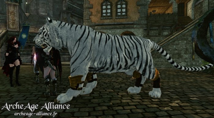 Aperçu du tigre blanc en jeu