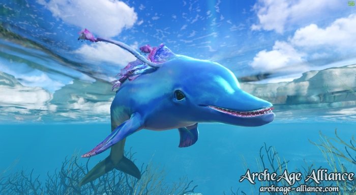 La monture Cyanaqua, le dauphin bleu d'ArcheAge