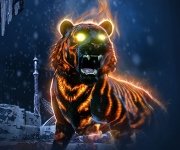 Nouvelles montures Psycatrices maintenant disponibles
