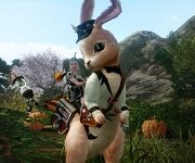Mise à jour de la Boutique - Bondissez avec les montures lapins